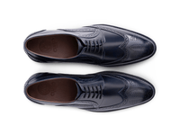 Leonardo Blue Lace-Up Shoes – Bespoken for the Modern Gentleman